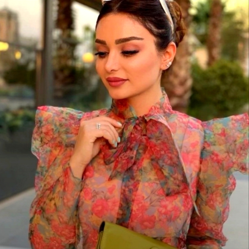 New Zara Organza top